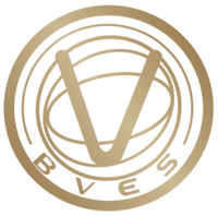 BVES币(BVES)是不是诈骗?