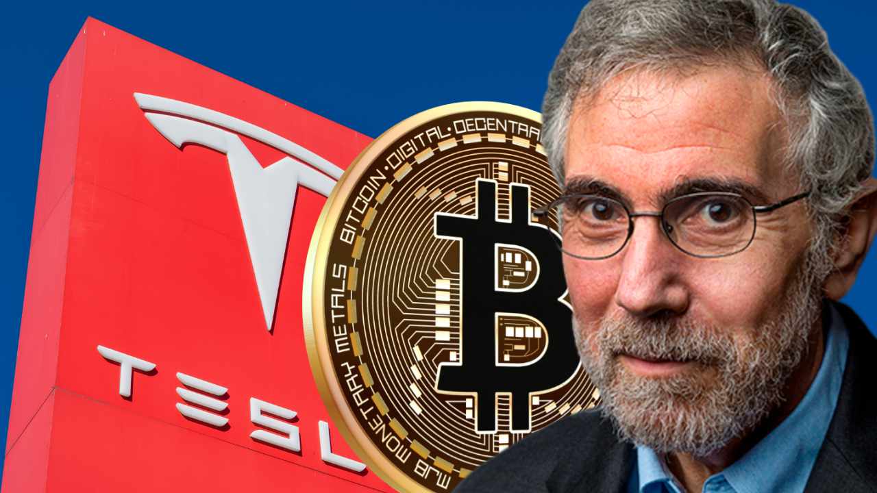 paul-krugman-tesla-bitcoin