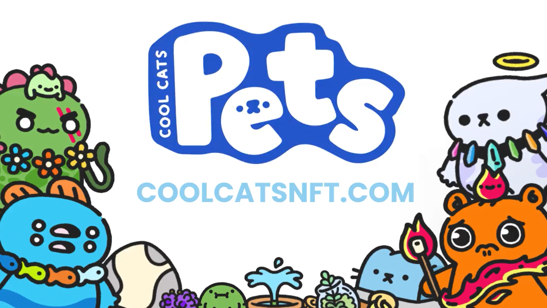 什么是Cool Pets NFT？Cooltopia与Cool Pets NFT有哪些联系？